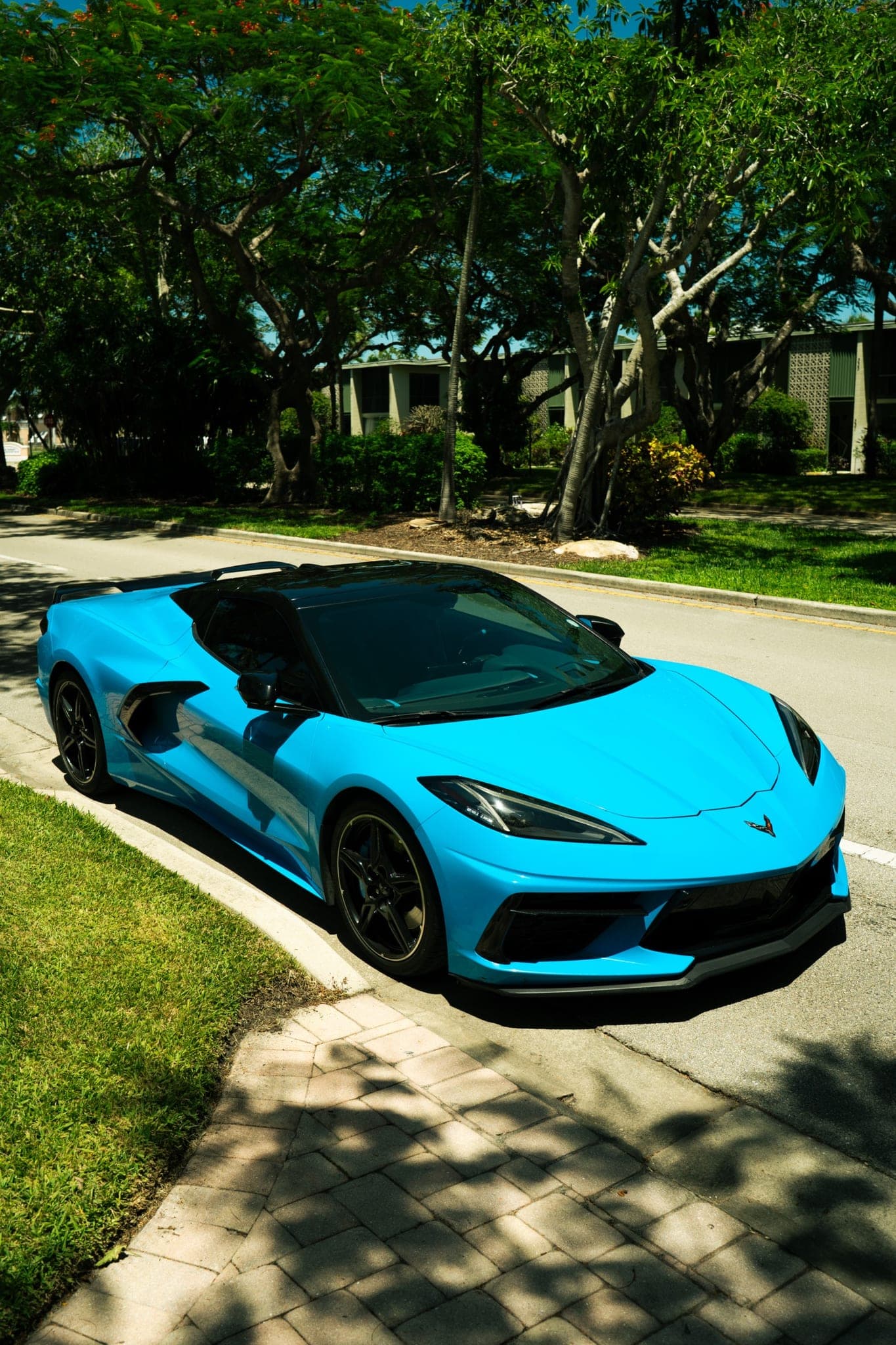 2021 Chevrolet corvette c8 3LT z51 package